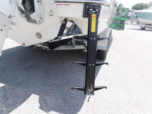 Slide: The Image of Stingray 253CC 2024 - 56