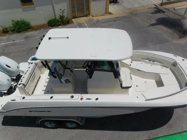 Slide: The Image of Stingray 253CC 2024 - 58