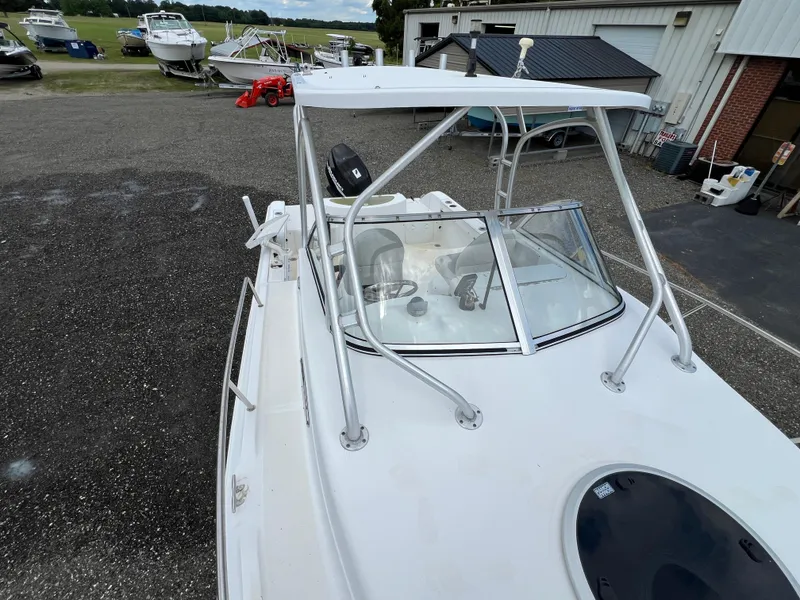 Slide: The Image of Sea Fox 236 Walk Around 2006 - 13