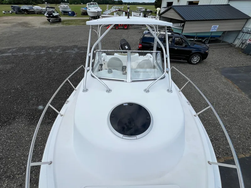 Slide: The Image of Sea Fox 236 Walk Around 2006 - 16