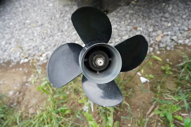 Slide: The Image of Harris Cruiser 230 CW 2024 - 6