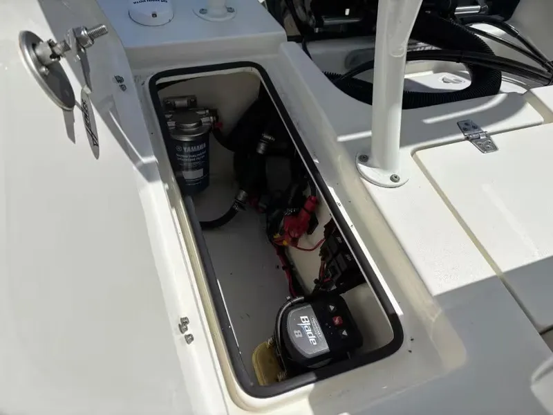 Slide: The Image of Hewes 16 Redfisher 2024 - 8