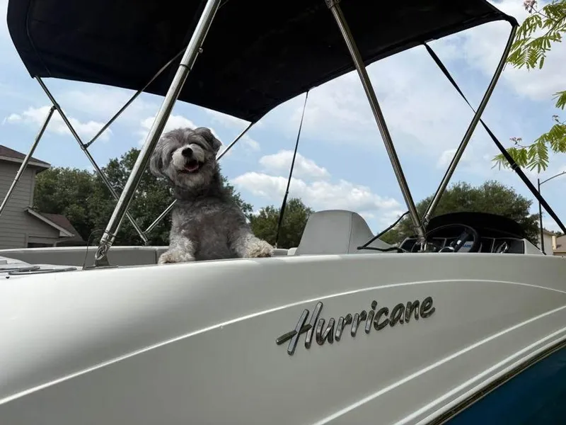 Slide: The Image of Hurricane Sundeck 2020 - 13