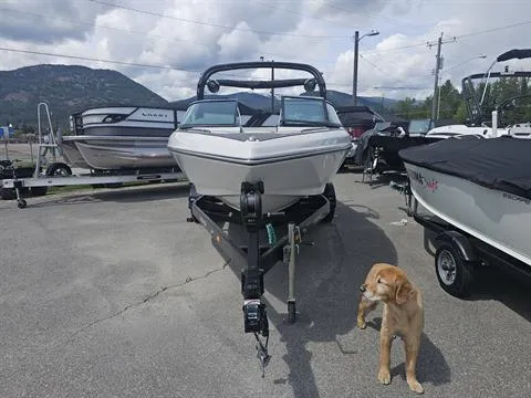 Slide: The Image of 2023 Sanger V237 SX boat on trailer with a dog nearby, in a marina setting. - 9