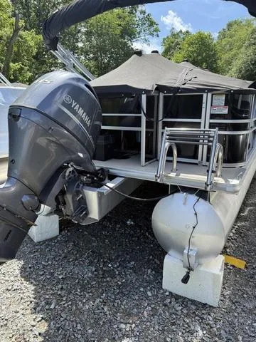 Slide: The Image of Sylvan Mirage 8520 Party Fish 2021 - 4