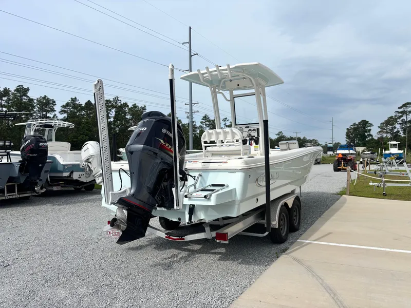 Slide: The Image of Robalo 246 Cayman 2021 - 2