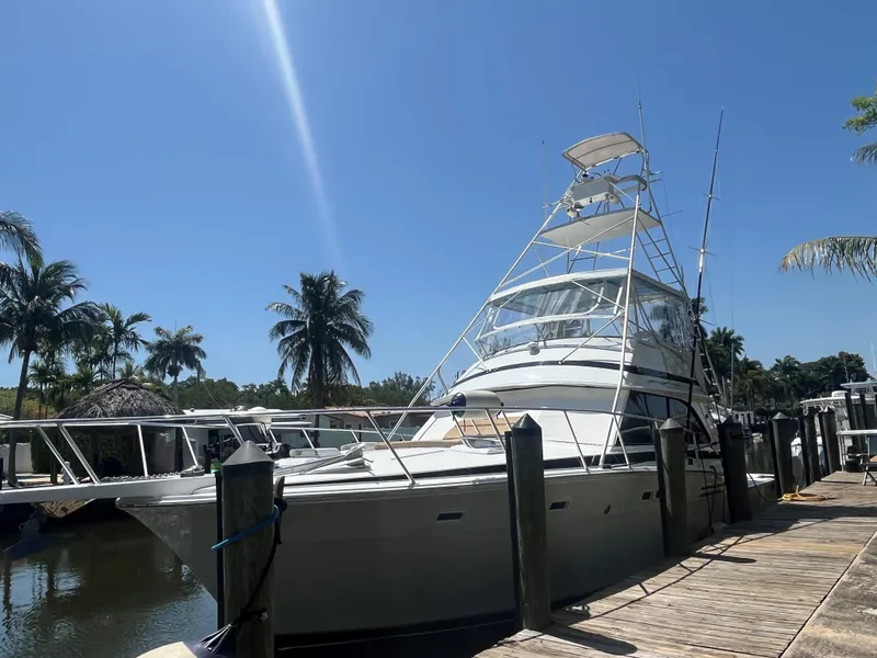 The Image of 1983 Bertram 46 Convertible yacht docked under clear blue sky with palm trees. - 0