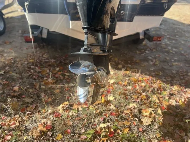 Slide: The Image of Chaparral 21 SSi OB 2025 - 7