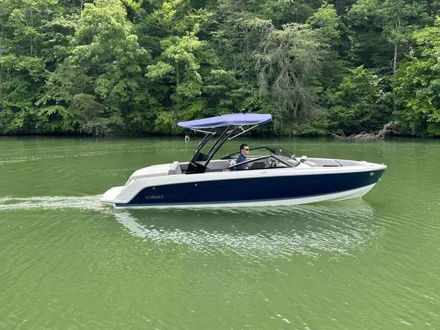 Slide: The Image of Cobalt CS23 2024 - 4