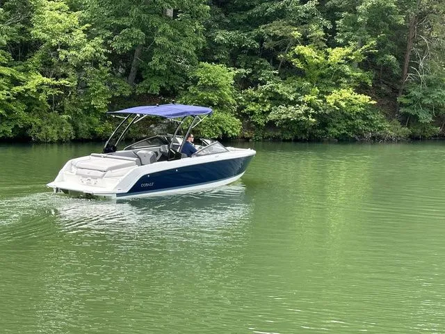 Slide: The Image of Cobalt CS23 2024 - 5