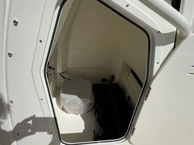 Slide: The Image of Boston Whaler 250 Dauntless 2025 - 21