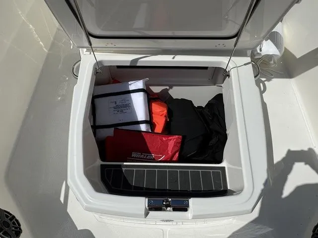 Slide: The Image of Boston Whaler 250 Dauntless 2025 - 24