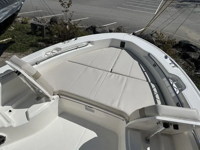 Slide: The Image of Boston Whaler 250 Dauntless 2025 - 26