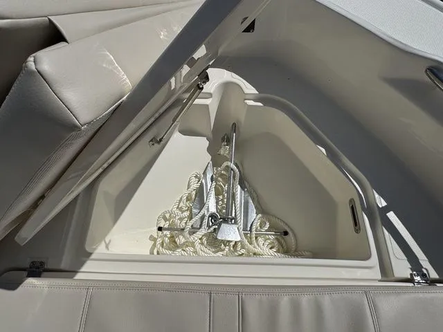 Slide: The Image of Boston Whaler 250 Dauntless 2025 - 29