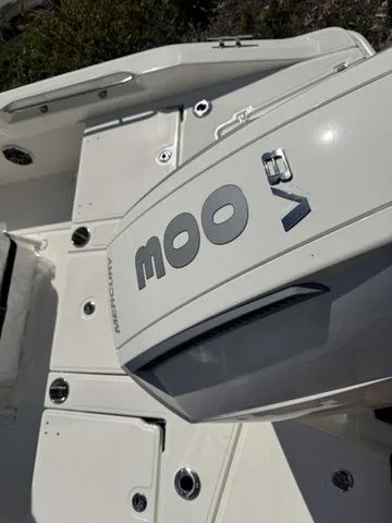 Slide: The Image of Boston Whaler 250 Dauntless 2025 - 7