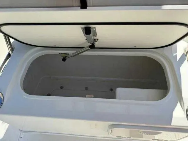 Slide: The Image of Boston Whaler 210 Montauk 2024 - 11