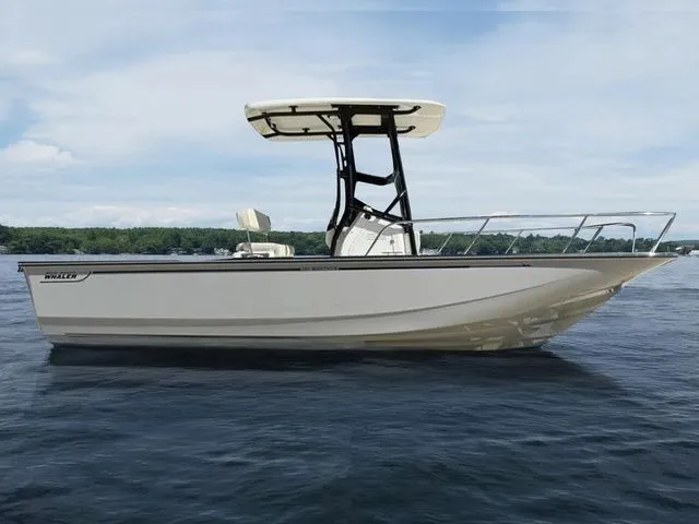 Slide: The Image of Boston Whaler 210 Montauk 2024 - 14