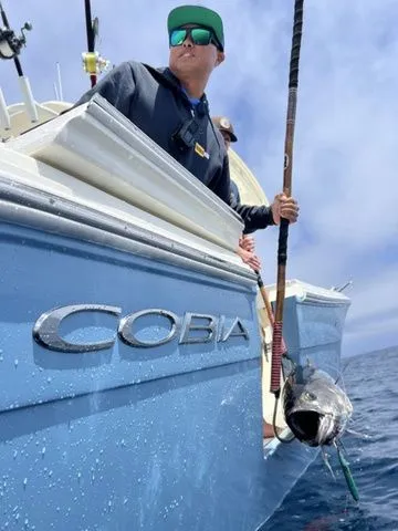 Slide: The Image of Cobia 320 Center Console 2024 - 3