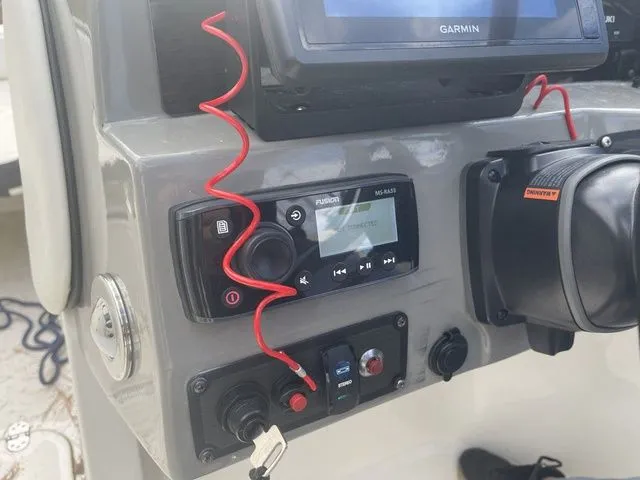 Slide: The Image of Stingray 231DC 2020 - 11