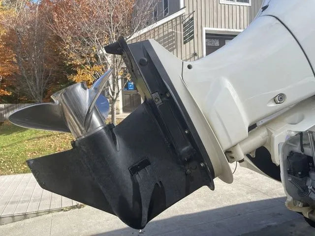 Slide: The Image of Stingray 231DC 2020 - 28