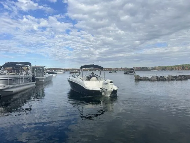 Slide: The Image of Stingray 231DC 2020 - 4