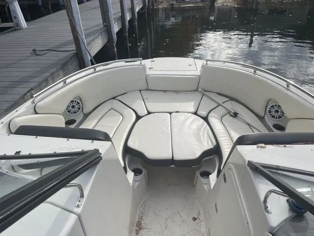 Slide: The Image of Stingray 231DC 2020 - 8