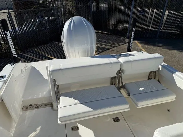 Slide: The Image of Pursuit DC 246 2025 - 5