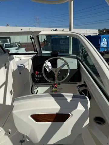 Slide: The Image of Pursuit DC 246 2025 - 8