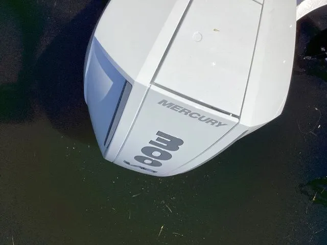 Slide: The Image of Premier 230 Intrigue RF 2024 - 16