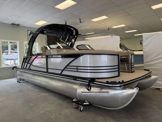 Slide: The Image of Sylvan S3 DLZ DC 2024 - 1