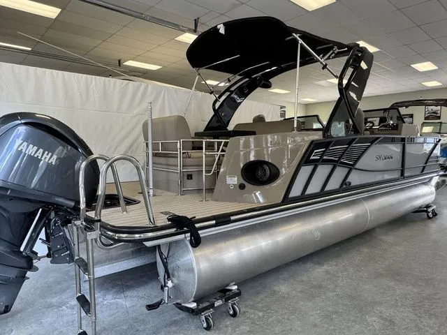 Slide: The Image of Sylvan S3 DLZ DC 2024 - 3