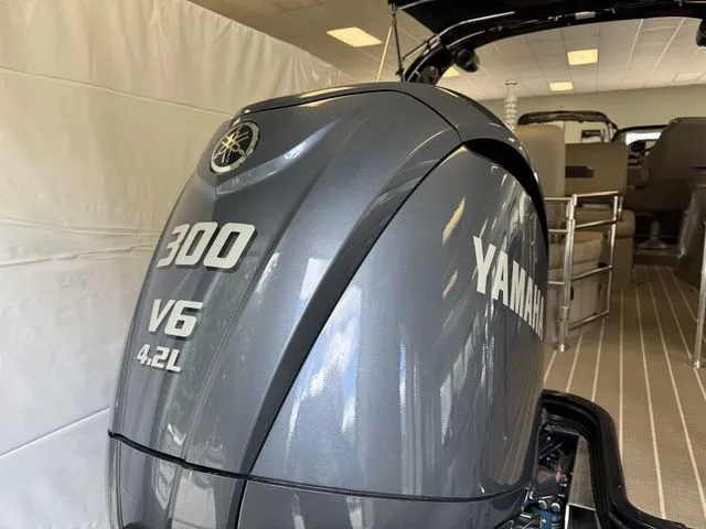 Slide: The Image of Sylvan S3 DLZ DC 2024 - 4