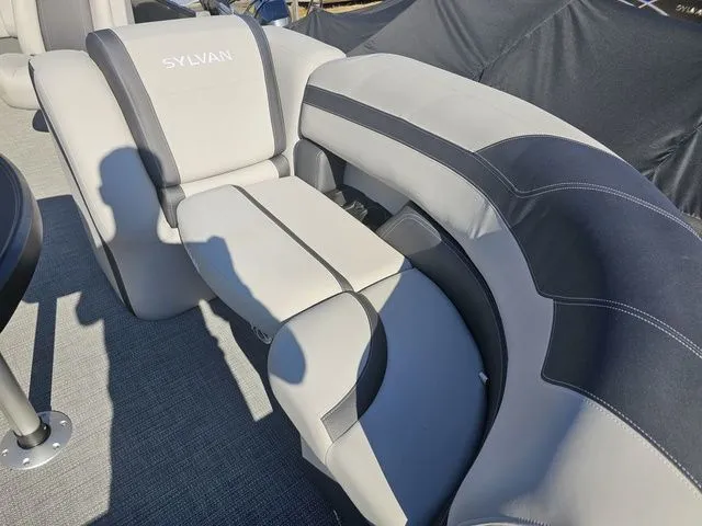 Slide: The Image of Sylvan L3 CLZ DH WT 2025 - 6