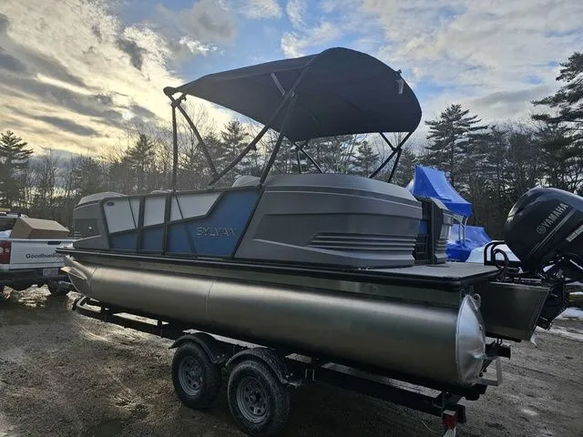 Slide: The Image of Sylvan A 20 LZ DH 2025 - 5