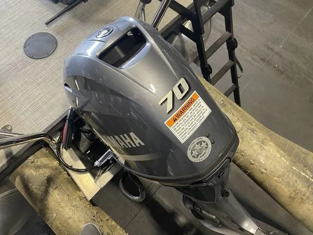 Slide: The Image of Sylvan A 22 LZ DH 2025 - 10