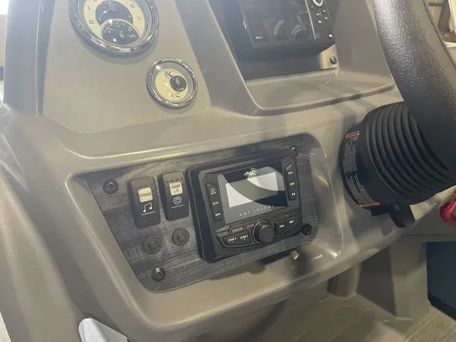 Slide: The Image of Sylvan A 22 LZ DH 2025 - 16