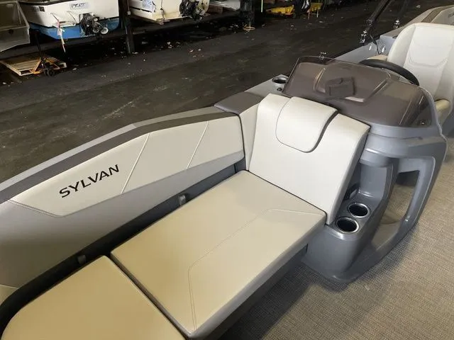 Slide: The Image of Sylvan A 22 LZ DH 2025 - 22