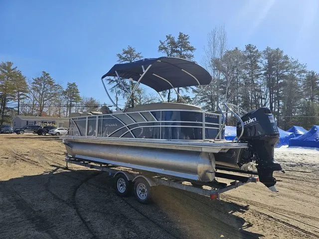 Slide: The Image of Sylvan Mirage 8522 LZ 2025 - 4