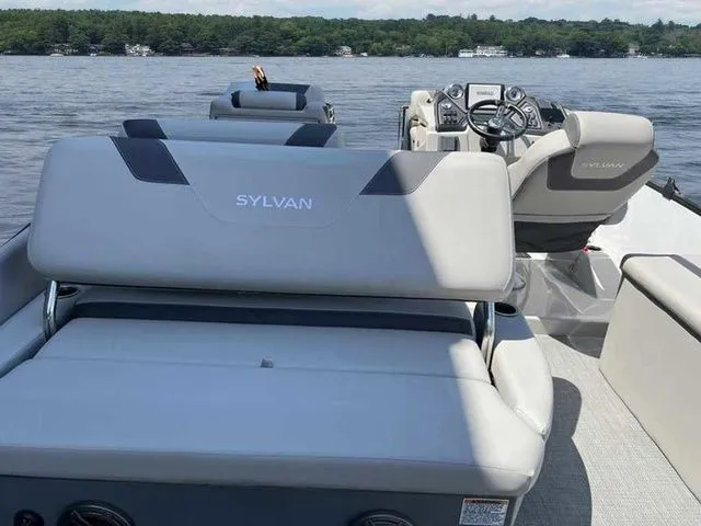 Slide: The Image of Sylvan L1 DLZ 2024 - 11