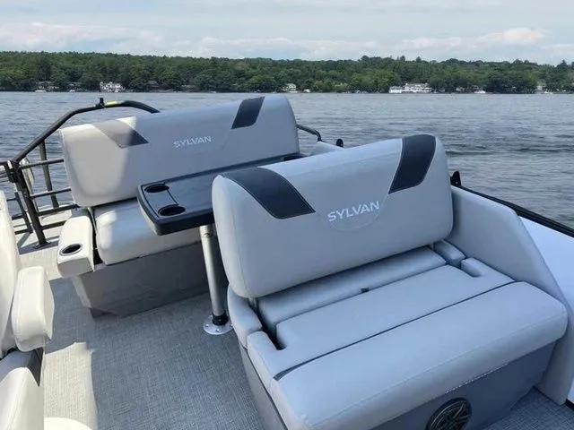 Slide: The Image of Sylvan L1 DLZ 2024 - 12