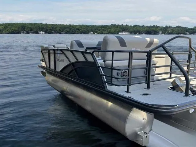 Slide: The Image of Sylvan L1 DLZ 2024 - 7