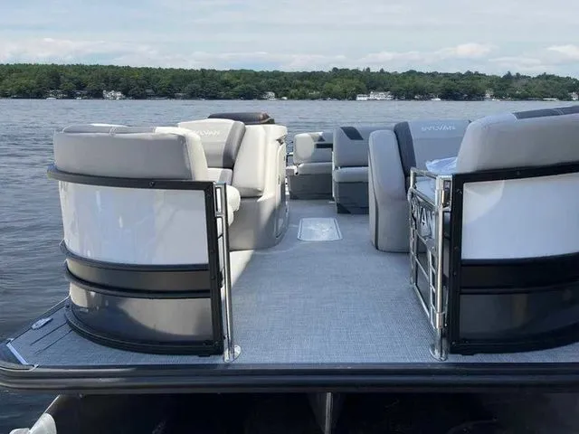 Slide: The Image of Sylvan L1 DLZ 2024 - 8