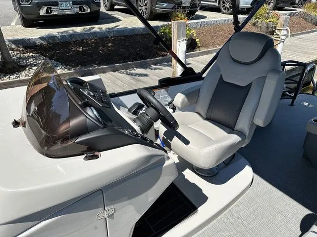 Slide: The Image of Sylvan L1 DLZ 2024 - 5