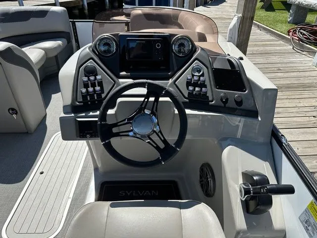 Slide: The Image of Sylvan L1 DLZ 2024 - 6