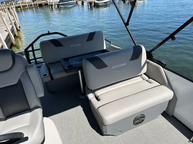 Slide: The Image of Sylvan L1 DLZ 2024 - 7