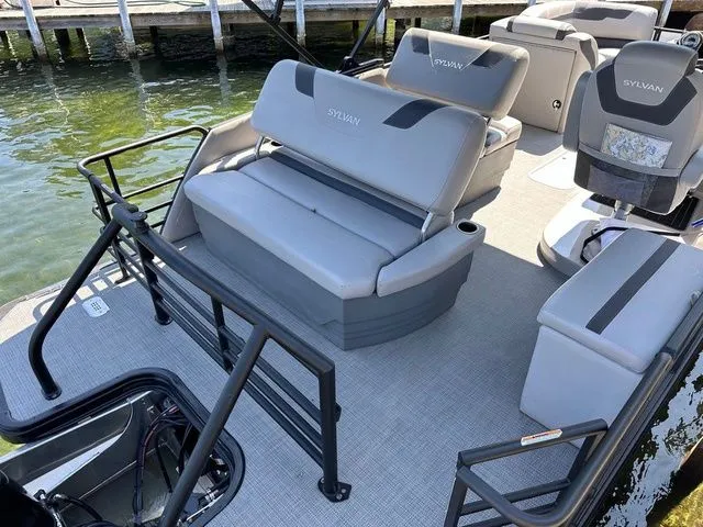 Slide: The Image of Sylvan L1 DLZ 2024 - 8