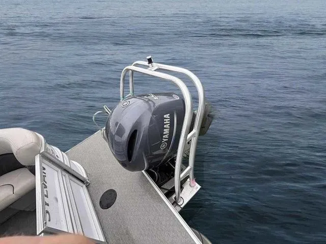 Slide: The Image of Sylvan 8524 Mirage LZ 2022 - 7