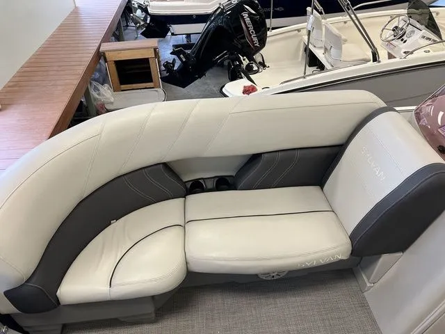 Slide: The Image of Sylvan 8522 LZ 2022 - 11