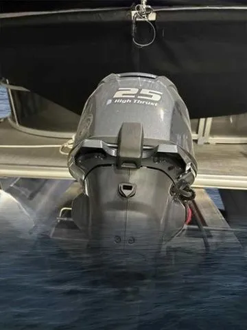 Slide: The Image of Sylvan 8520 LZ 2022 - 4