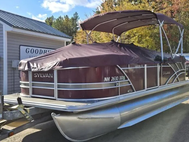 Slide: The Image of Sylvan 8524 Mirage LZ 2023 - 4